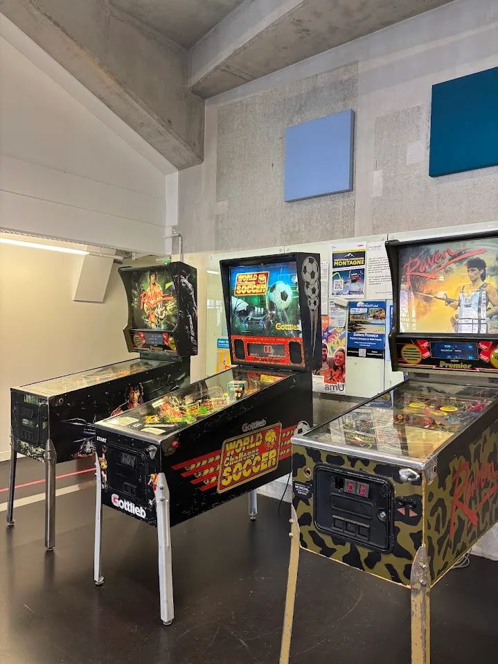 Flipper - Location de jeu pour événement en région PACA. Flipper : Dimensions 115 x 75 x 175 de hauteur / poids environ 100 kg    Nécéssite une alimentation électrique standard